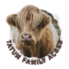 Tatum Family Acres, mini highland cow, miniature cow for sale